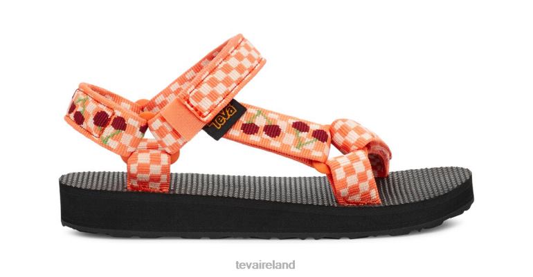 Teva Footwear Original Universal 6TN4R282 Picnic Cherries Carrot-Rhubarb - Click Image to Close