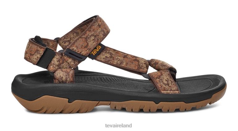 Teva Footwear Hurricane Xlt2 6TN4R17 Pampas Rainforest Brown - Click Image to Close