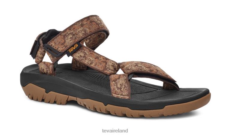 Teva Footwear Hurricane Xlt2 6TN4R17 Pampas Rainforest Brown