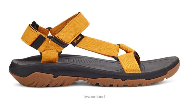 Teva Footwear Textural Sunflower Hurricane Xlt2 6TN4R6 Teva Textural Sunflower - Click Image to Close